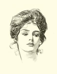 社会のはしごのイラスト 作： Charles Dana Gibson
