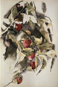プラム、1925 作： Charles Demuth