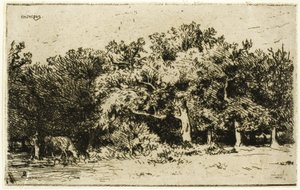 フォンテーヌブローの森の一部 作： Charles Emile Jacque