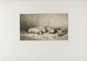 眠る4匹の豚 作： Charles Emile Jacque