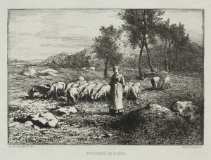 豚の群れ、1868年。 作： Charles Emile Jacque