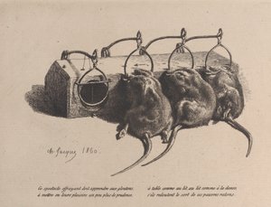 ネズミ捕り、1860年。