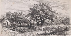 コテージの外の木から果物を摘みます。 1852年。