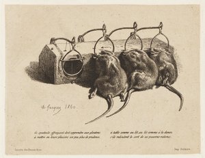 ネズミ捕り 作： Charles Emile Jacque