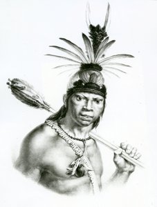 ジャンバプティストデブレによる「ピトレスクとブラジルへの歴史的な旅行」のチーフカマカンモンゴヨ、1834 作： Charles Etienne Pierre Motte