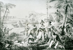 ベイツリーだけが栽培せずに成長します。ラルマンの後、1819年にシャンダサイルでラレマン将軍（1774-1839）が描いたイラスト