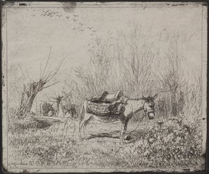 野原のロバ 作： Charles Francois Daubigny