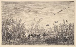 沼地のアヒル、[1862]、1921年に転載。 作： Charles Francois Daubigny