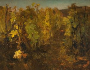 ラヴィーニュ、1860-1863 作： Charles Francois Daubigny