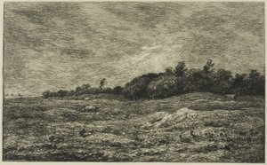Villerville (Calvados) の Pre des Graves