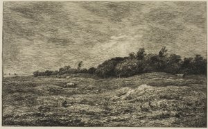 Villerville (Calvados) の Pre des Graves 作： Charles Francois Daubigny