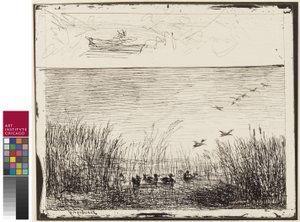 アヒルと湿地、1862