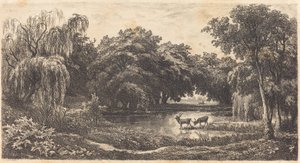 鹿のいるプール 作： Charles Francois Daubigny