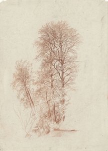葉の中の 2 本の細くて小さい木のみの研究 作： Charles Francois Daubigny