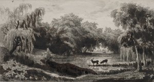 雄鹿のいるプール 作： Charles Francois Daubigny