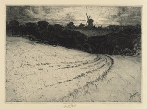 朝、カノカット島、1908 年。