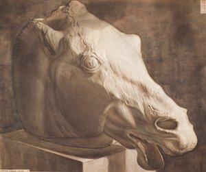 研究 - パルテノン神殿の馬の頭