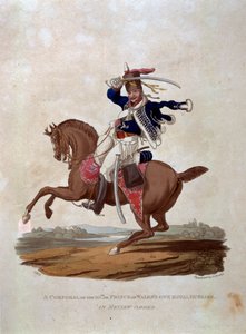 JCスタドラーによってパブに刻まれた「大英帝国軍のコスチューム、最後の規定1812による」から、10番目の伍長、またはプリンスオブウェールズ自身の王立騎士団 作： Charles Hamilton Smith