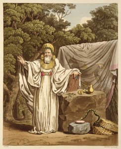 ロバートハヴェル（1769-1832）1815（アクアチント）によって刻まれた彼の司法の習慣のアーチドルイド 作： Charles Hamilton Smith