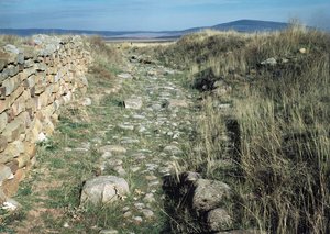 騎兵隊隊1813、「大英帝国のコスチューム、最後の規則1812による」から、JCスタドラーによって彫刻され、Colnaghi und Co. 1812-15から出版（アクアチント色） 作： Charles Hamilton Smith