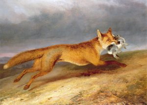 ウサギと一緒に逃げるキツネ