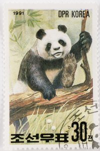 スタンプ/北朝鮮/Ailuropoda melanoleuca/Grand panda/Giant Panda 作： Augustus Kollner