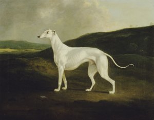 風景の中のグレイハウンド 作： Charles Henry Schwanfelder