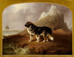 ニューファンドランド犬 作： Charles Henry Schwanfelder