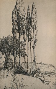 シエナ付近のヒノキの木、1903年 作： Charles Holroyd
