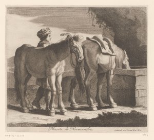 馬を飲む Masete de Normandie (オブジェクトのタイトル) 動物シリーズ（シリーズタイトル） 作： Charles II Errard (attributed to)