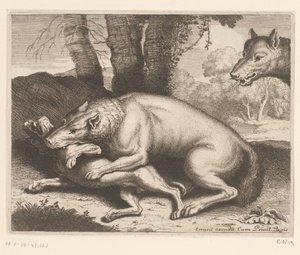 オオカミに襲われた犬 動物シリーズ（シリーズタイトル） 作： Charles II Errard (attributed to)