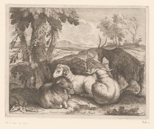 木の下の羊とヤギ 動物シリーズ（シリーズタイトル） 作： Charles II Errard (attributed to)