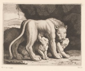 授乳中の雌ライオン 動物シリーズ（シリーズタイトル） 作： Charles II Errard (attributed to)