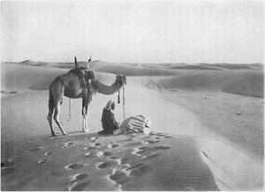 砂漠の日没の祈り、c1913 作： Charles J. S. Makin