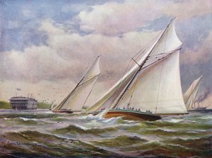 白い翼 作： Charles John de Lacy