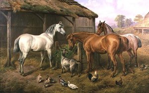 Farmyard Friends 作： Charles Jones
