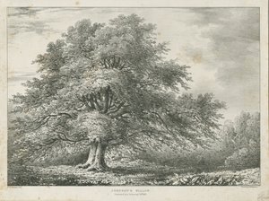 リッチフィールド-["Dr. Johnson" s "]ウィローツリー：リトグラフ、nd [1789-1850] 作： Charles Joseph Hullmandel