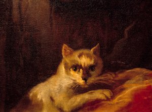 マドモアゼル・ド・シャロレ 猫を表すディテール絵画：シャルル・ジョゼフ・ナトワール（Charles-Joseph Natoire 作： Charles Joseph Natoire