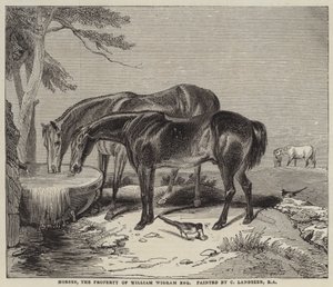 ウィリアム・ウィグラムの所有する馬、エスクァイア 作： Charles Landseer