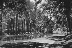 T字型の池（モノクロ写真 作： Charles Latham