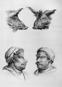 イノシシの頭と男の類似点、ルブランの「描き始めた人のための肖像本」から