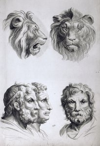 ライオンの頭と男の類似点、ル・ブランの「描き始めた人のためのポートレートブック」から