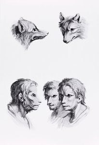 オオカミの頭と男の類似点、ル・ブラン著「描き始めた人のための肖像本」から 作： Charles Le Brun