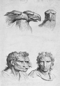 イーグルの頭と男の類似点、ル・ブランの「描き始めた人のためのポートレートブック」から 作： Charles Le Brun