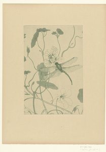 キンレンカの花のトンボ フラワーズ レプルーヴ（シリーズタイトル） 作： Charles Louis Houdard