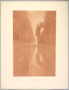 風景の組曲: 風景、プレート 2、ノート、スターフラワー 作： Charles Marie Dulac