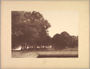 風景の組曲: 風景、プレート 7、ノート、ポピー 作： Charles Marie Dulac