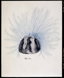 父方の帽子 - Marcelle Demayの「La Mode en 1912」、Charles Martin（1884-1934）のイラストレーション 作： Charles Martin