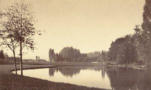ブローニュの森 作： Charles Marville