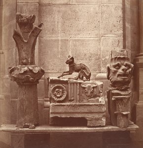 ミイラ化した猫は、カリフォルニア州サンジェルマン アン レーの発掘調査で発見されました。 1862年。